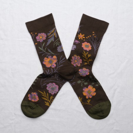 Sock Umber Herbarium